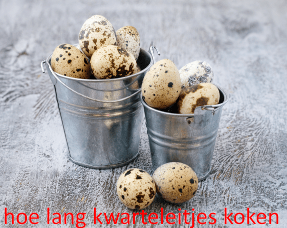 hoe lang kwarteleitjes koken