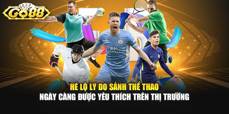 Hé lộ lý do sảnh thể thao ngày càng được yêu thích trên thị trường