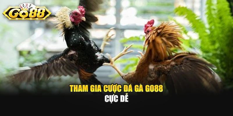 Tham gia cược đá gà Go88 cực dễ